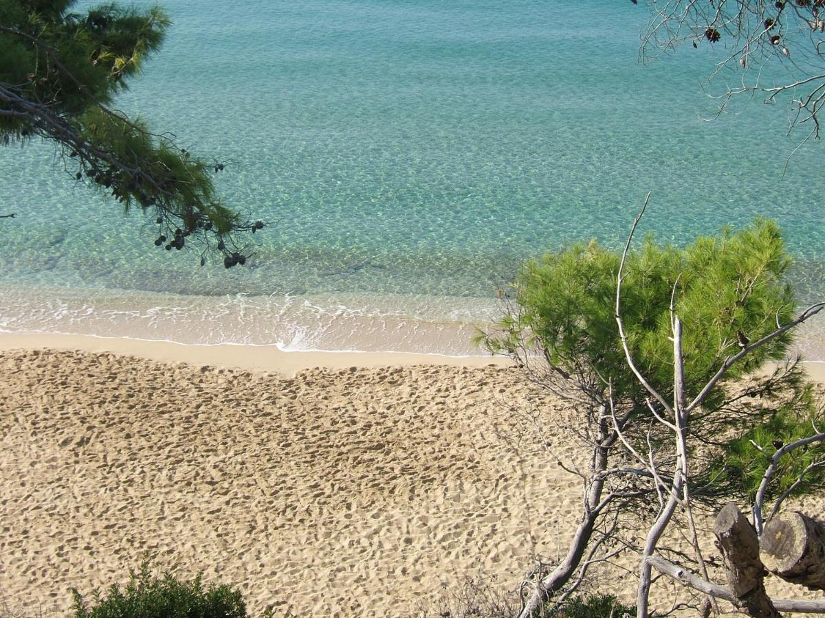 Anna'S Studios Argostoli  Ngoại thất bức ảnh