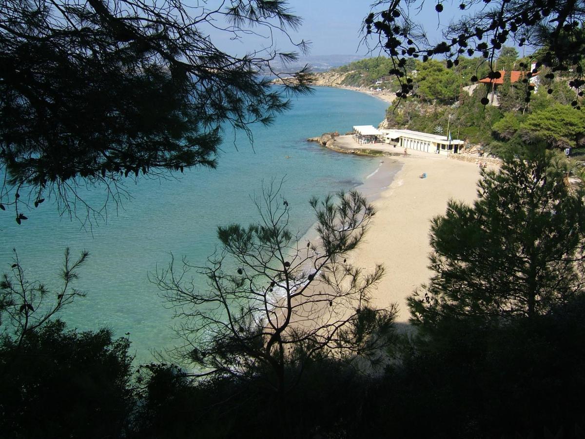 Anna'S Studios Argostoli  Ngoại thất bức ảnh